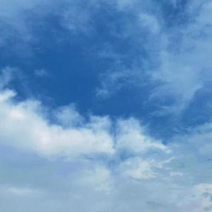 少妇被干到寒潮
